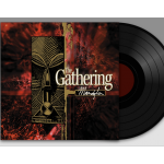 Mandylion Black Vinyl *Gold Foil Edition*